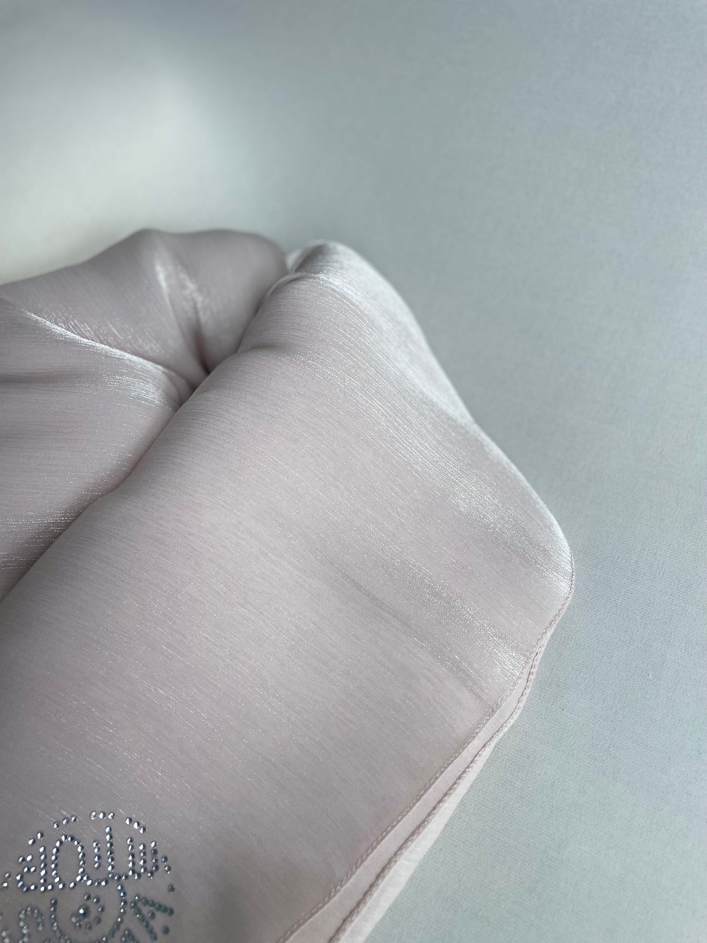 Organza de soie strass Beige rosé