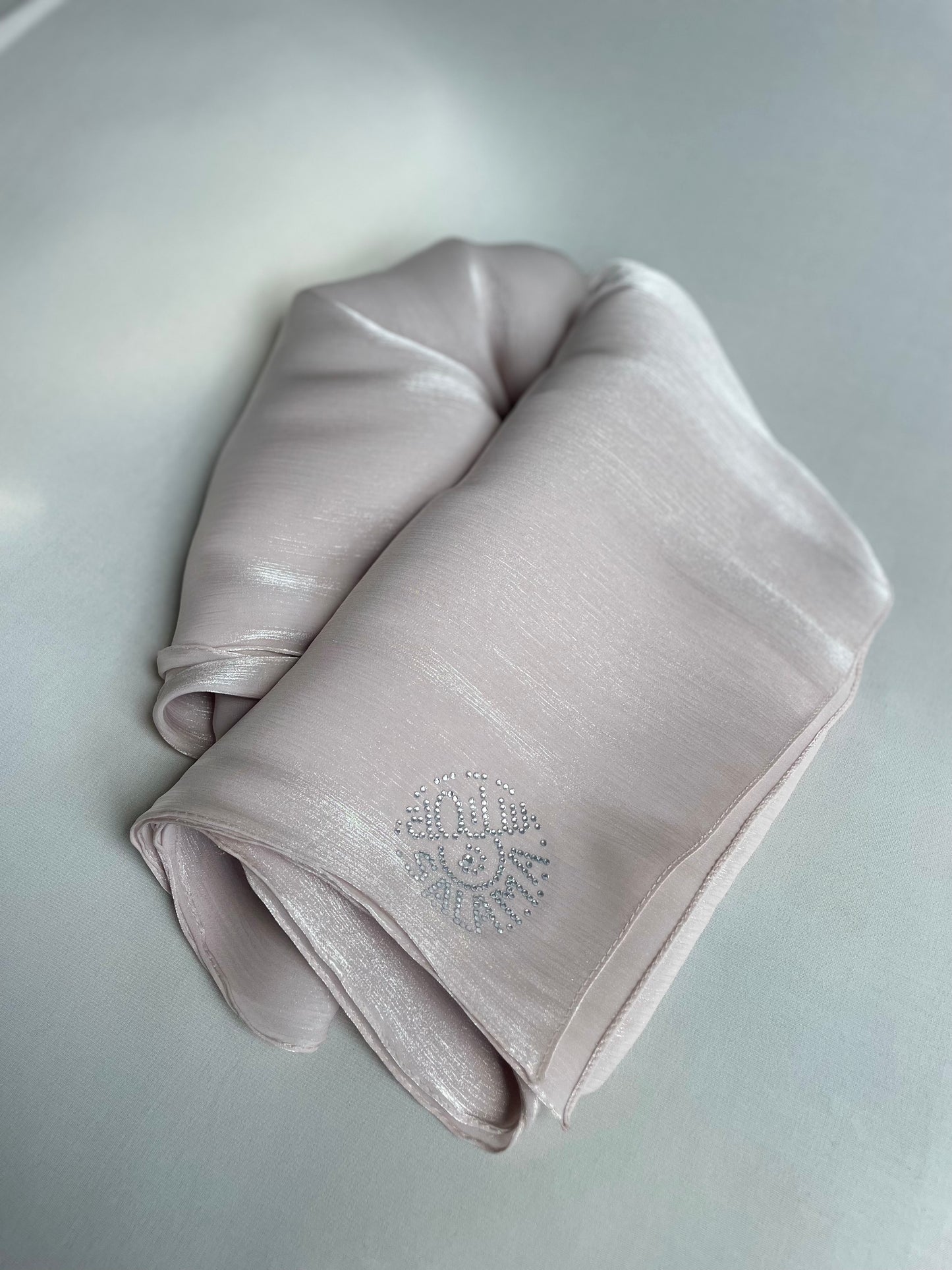 Organza de soie strass Beige rosé