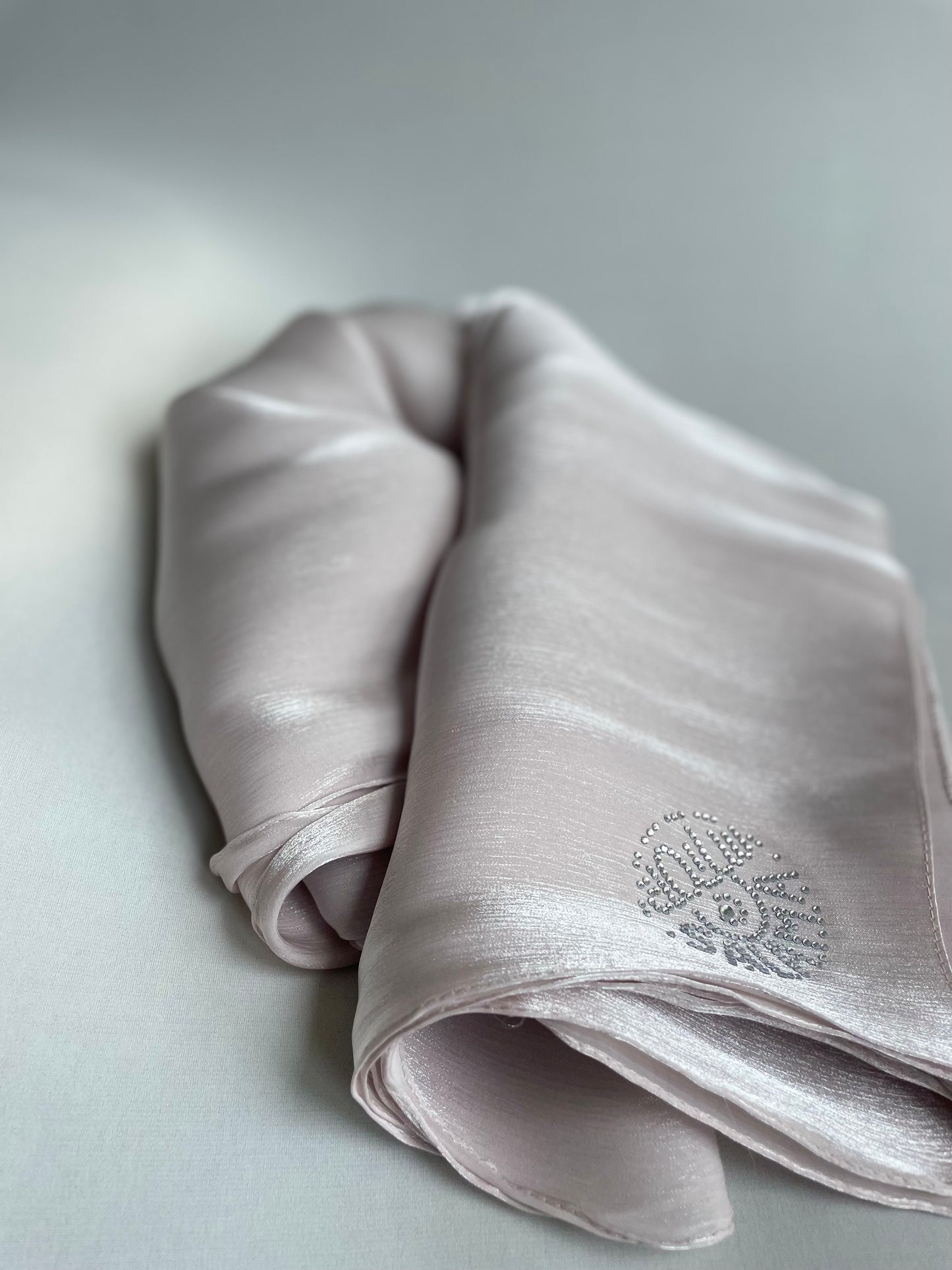 Organza de soie strass Beige rosé