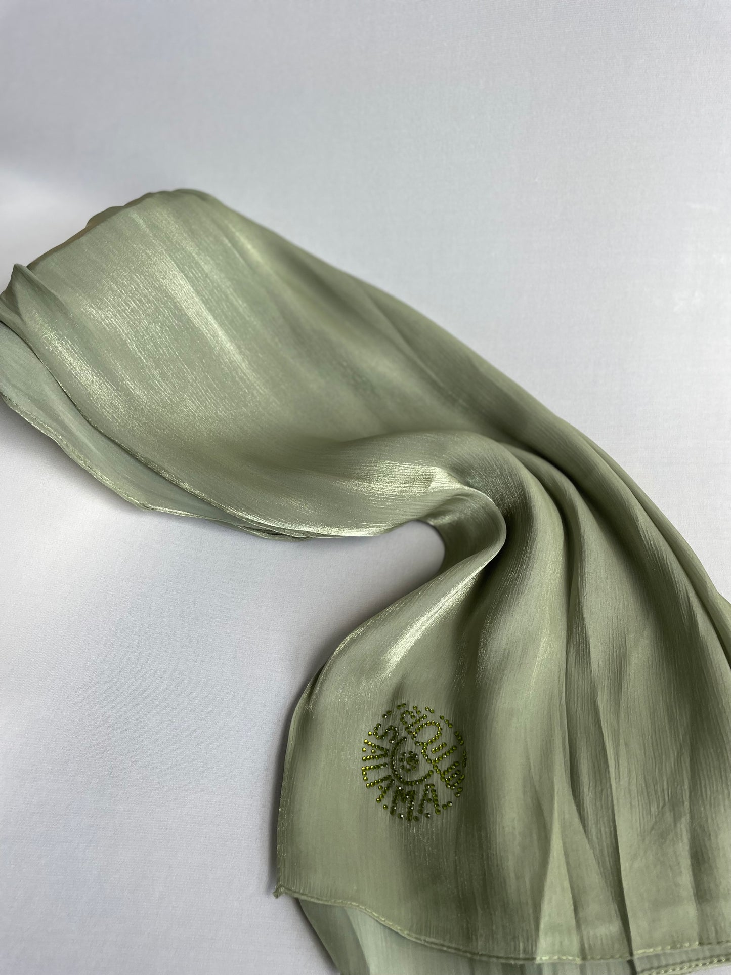 Organza de soie strass Vert clair