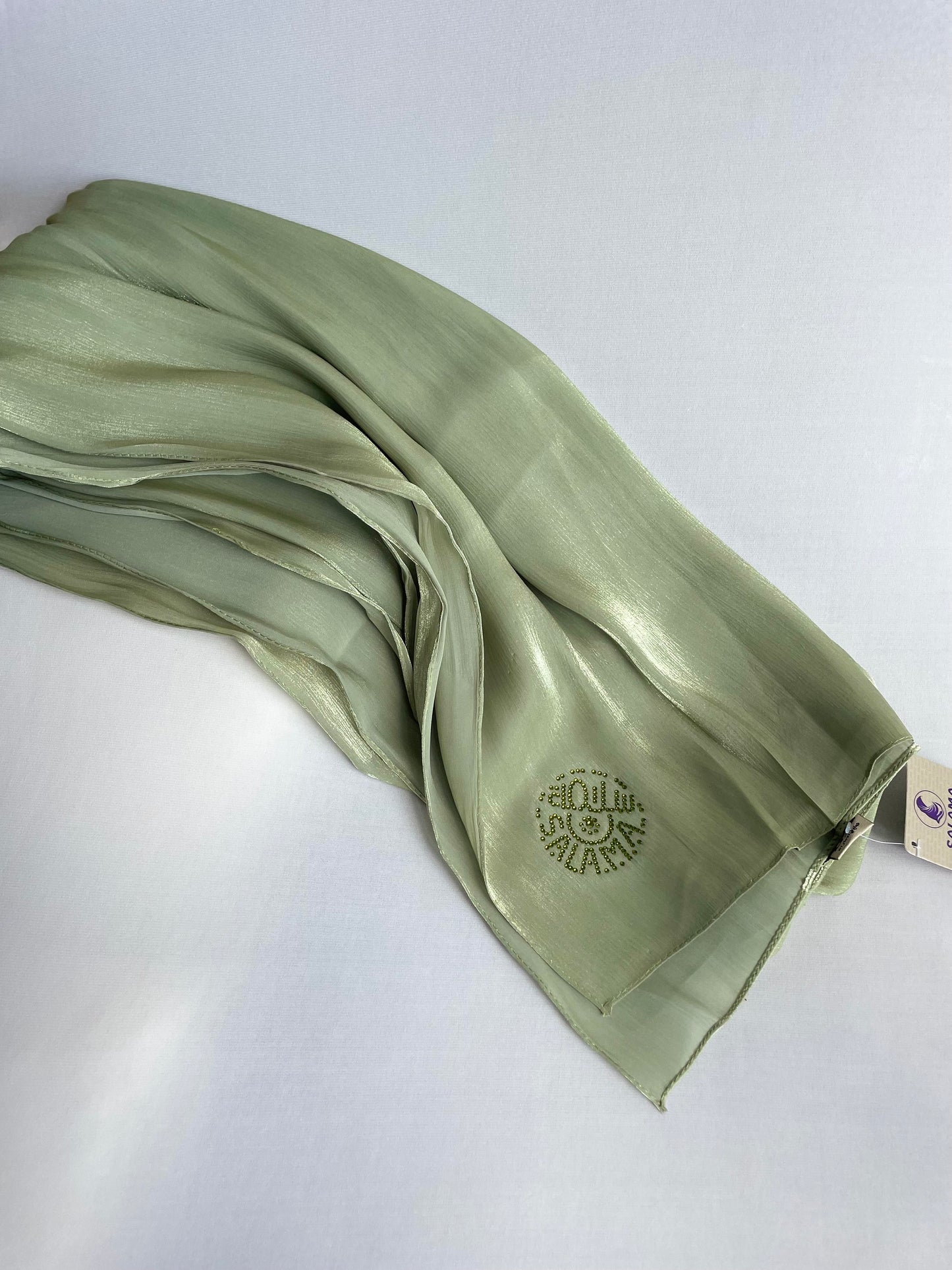 Organza de soie strass Vert clair