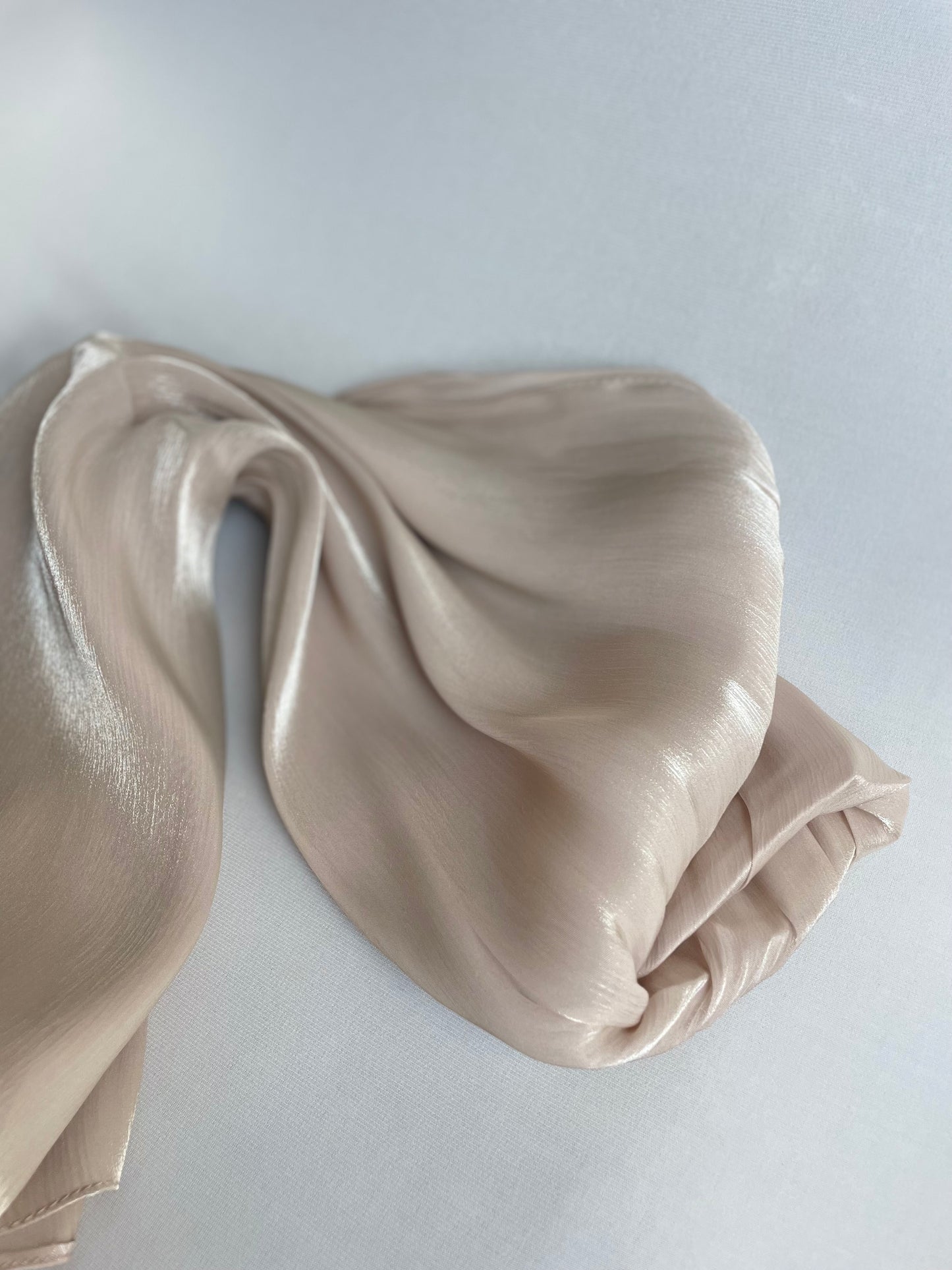 Organza de soie strass Avoine