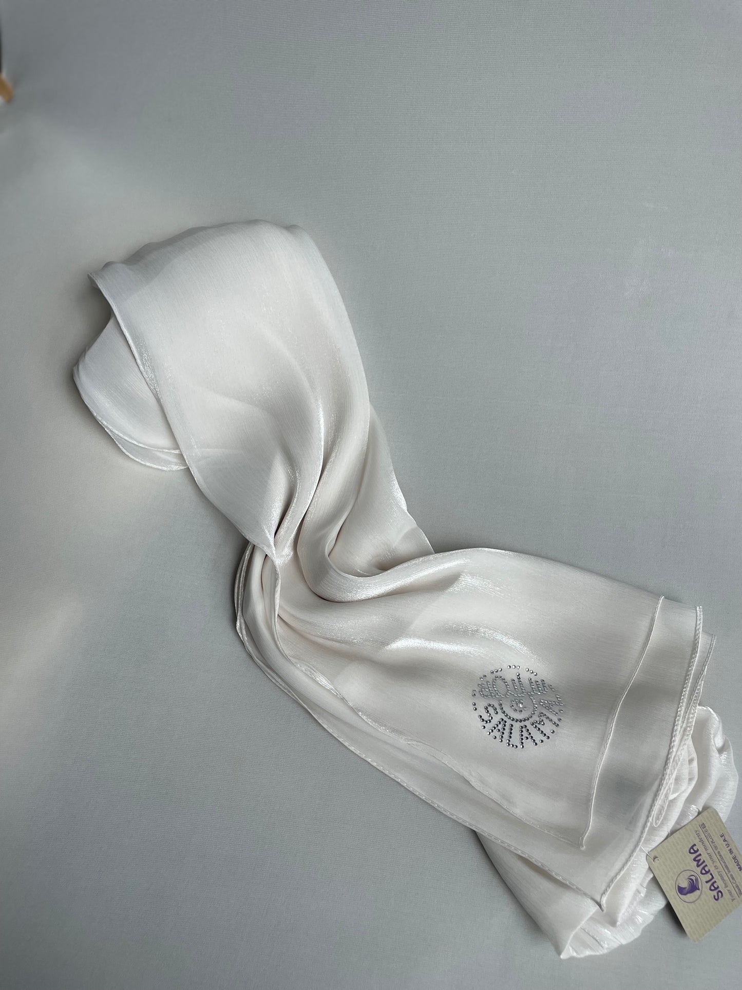 Organza de soie Blanc cassé