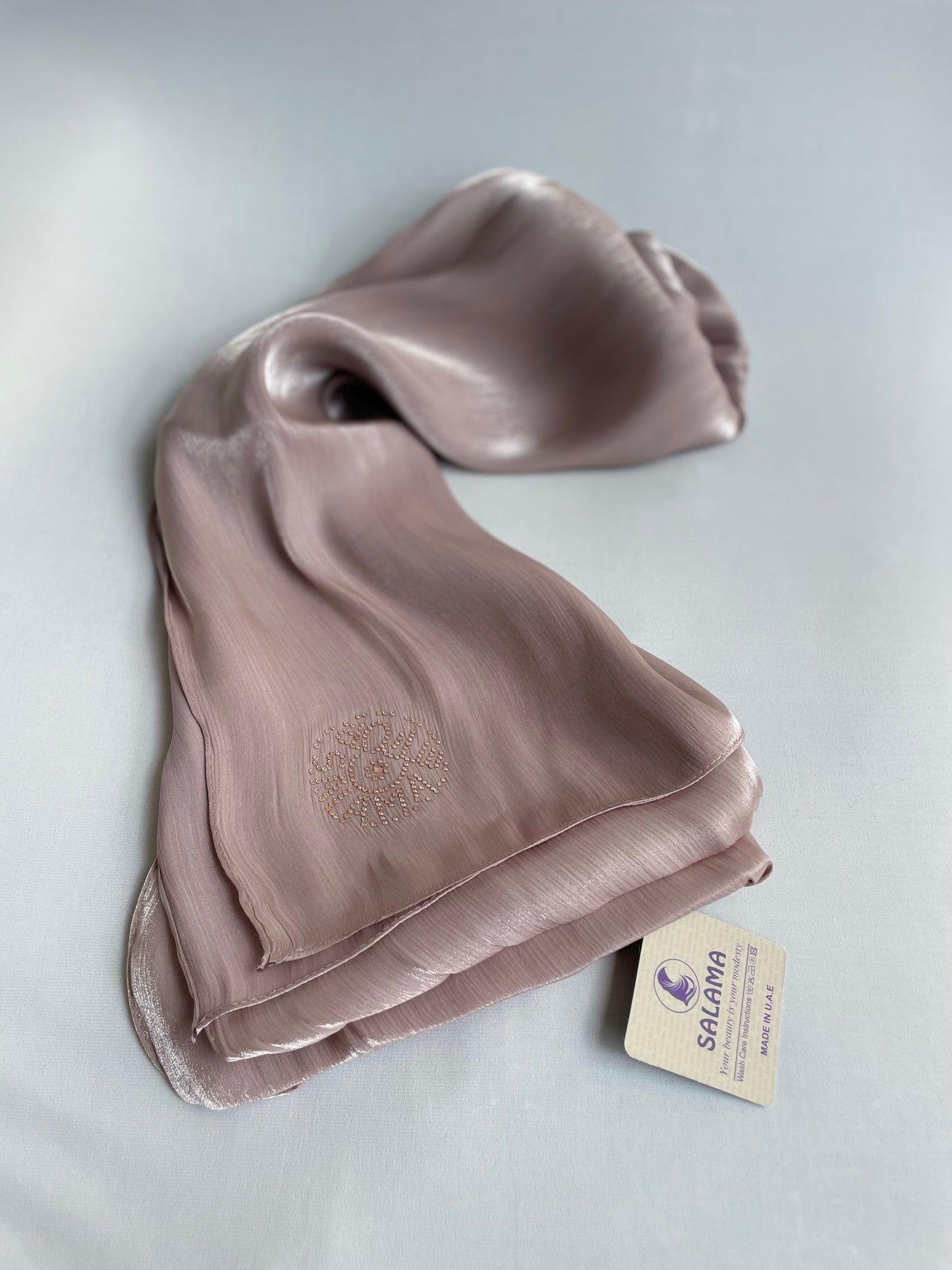 Organza de soie strass Beige
