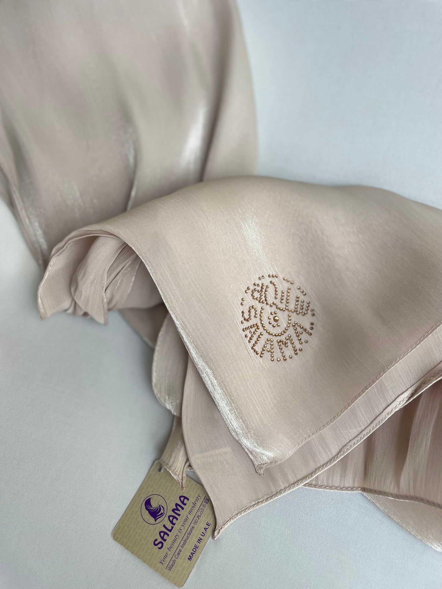 Organza de soie strass Avoine