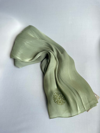 Organza de soie strass Vert clair