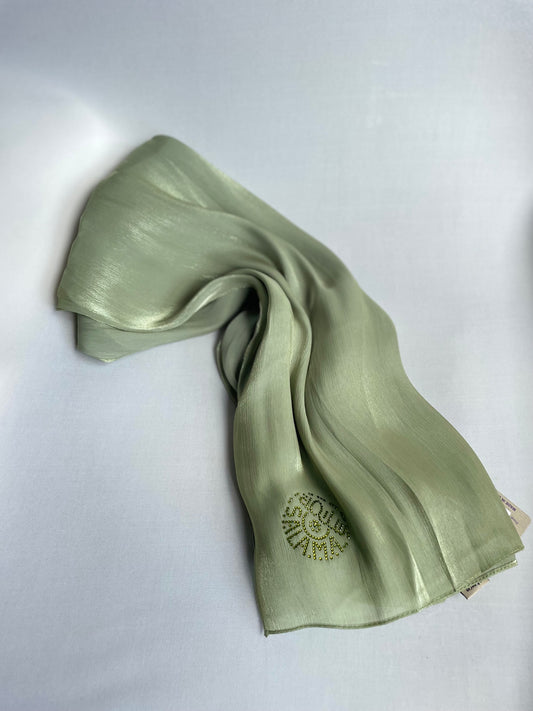 Organza de soie strass Vert clair