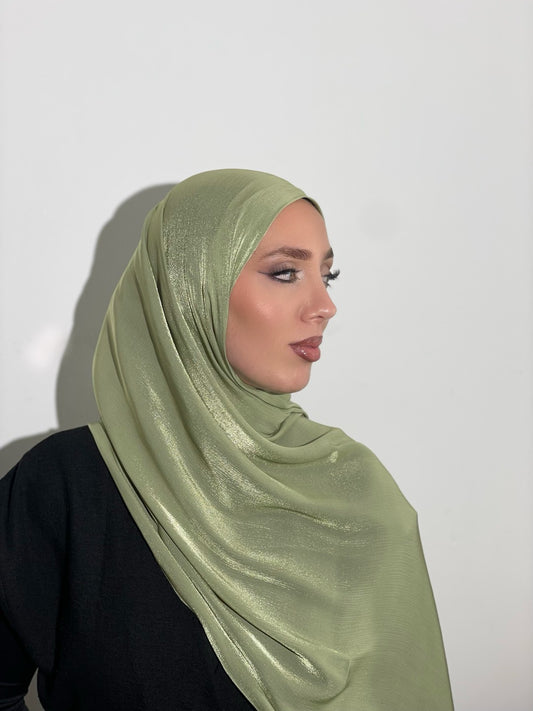 Organza de soie strass Vert clair