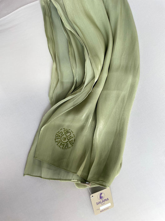 Organza de soie strass Vert clair